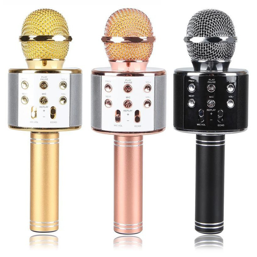 Micro Hát Karaoke Bluetooth Kèm Loa 858