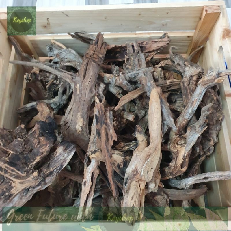 500g Lũa san đá để trang trí hồ thủy sinh- chua qua xử lý