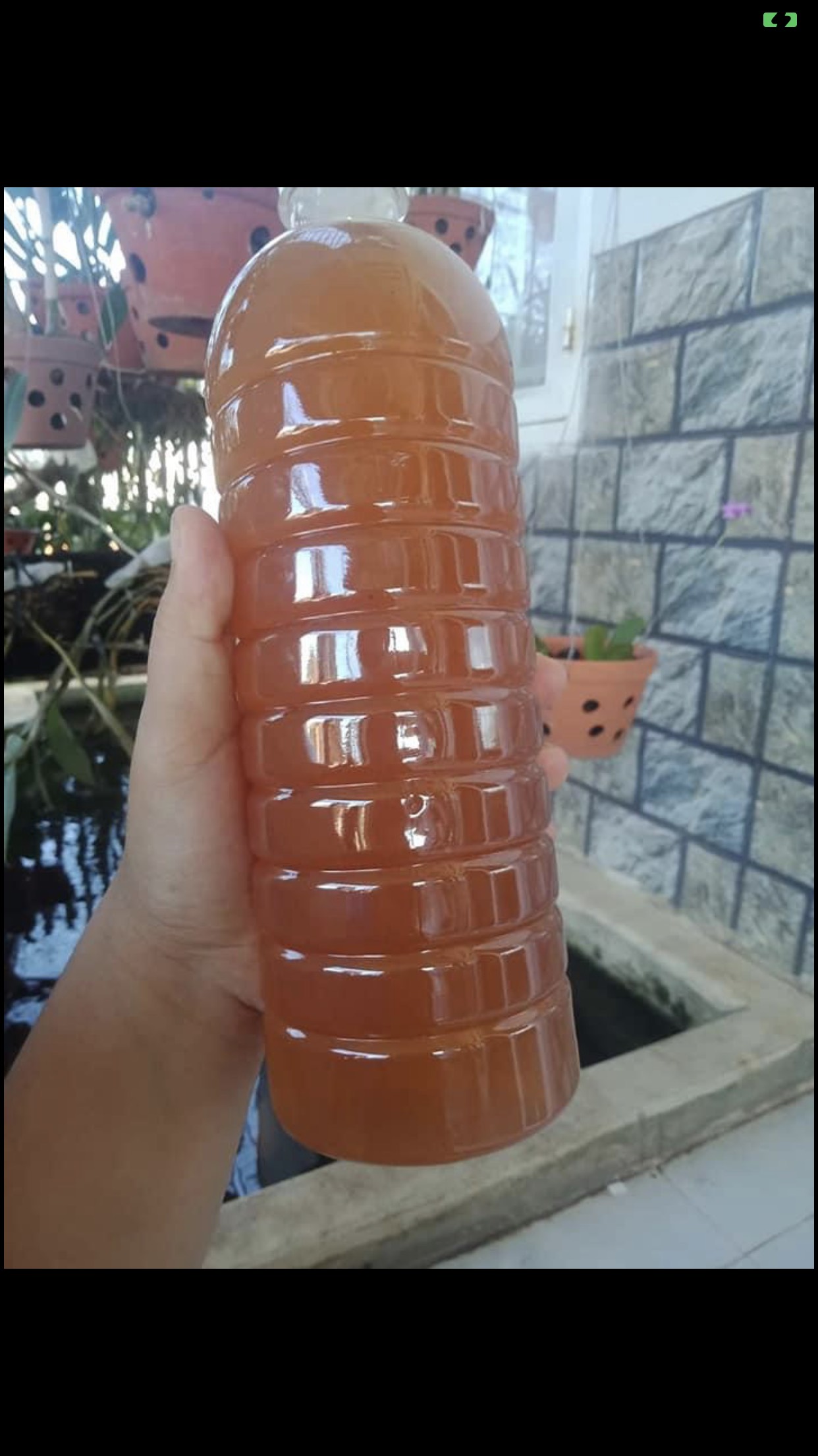 [HCM]Mật ong nguyên chất đảm bảo chất lượng 500ml