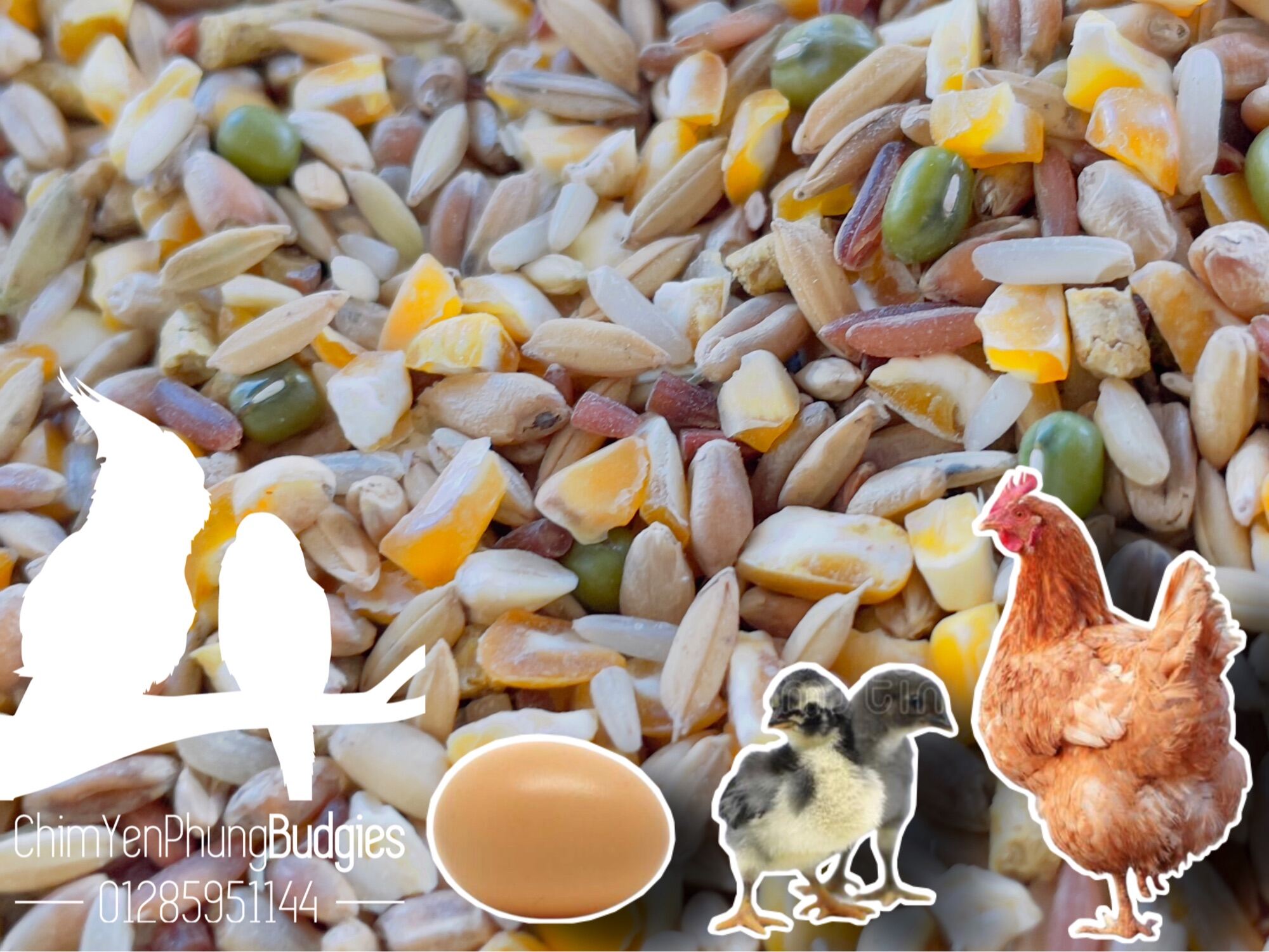 4kg ngũ cốc cơ bản cho Gia Cầm • Bồ Câu • Chim Cảnh