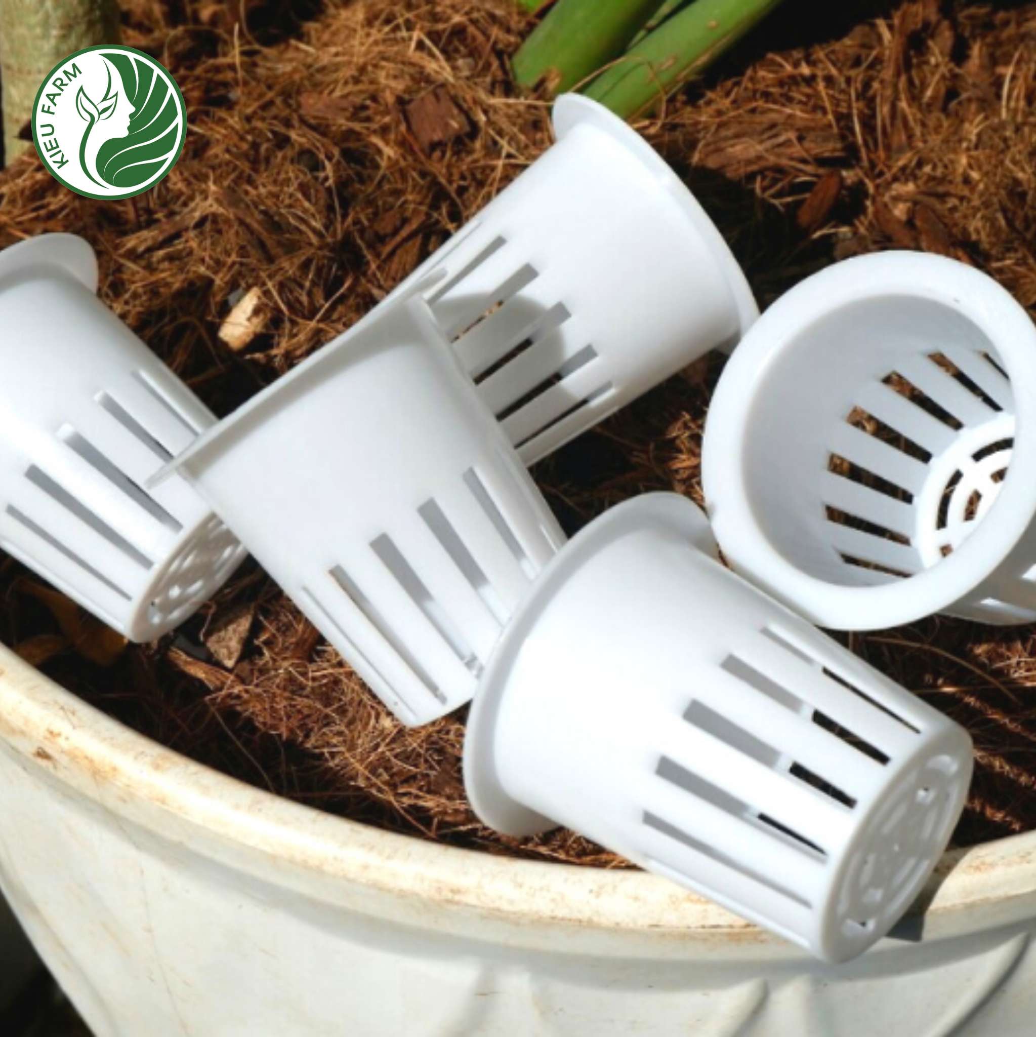 100 Rọ thủy canh trồng rau