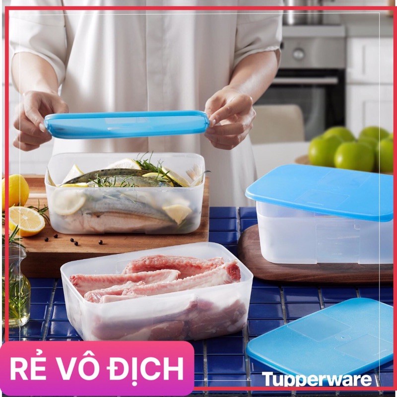 Set hộp trữ đông 1.5L Tupperware
