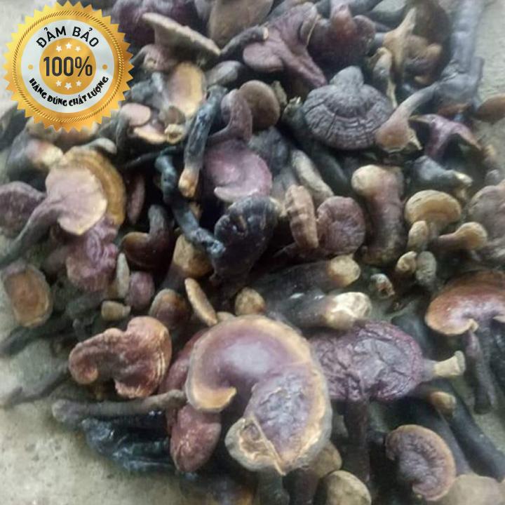 [HCM]Nấm linh xanh - Nấm linh chi (Trồng tự nhiên ở núi tây bắc)