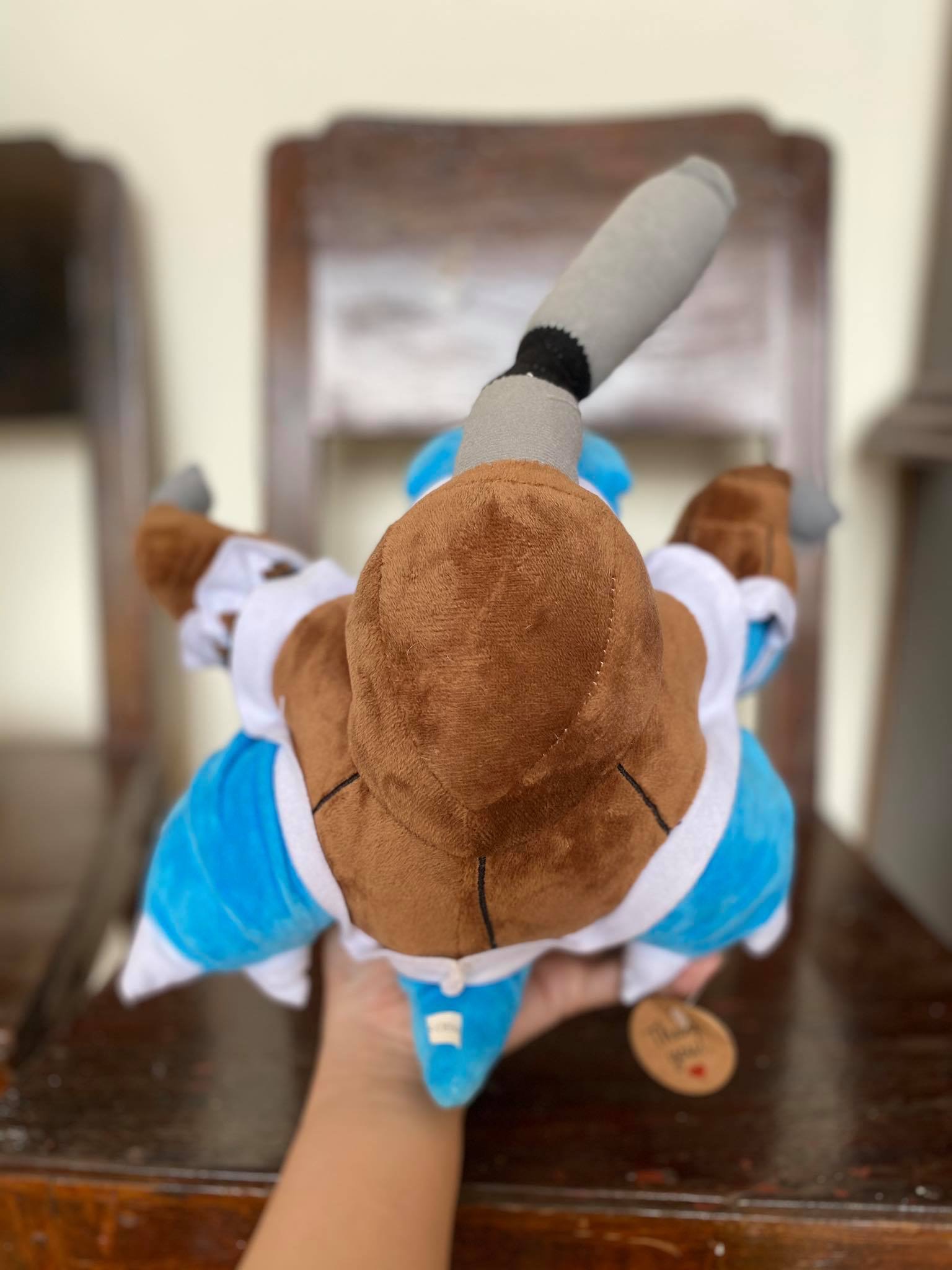 [HCM]Gấu bông rùa Pokemon tiến hoá cấp 3