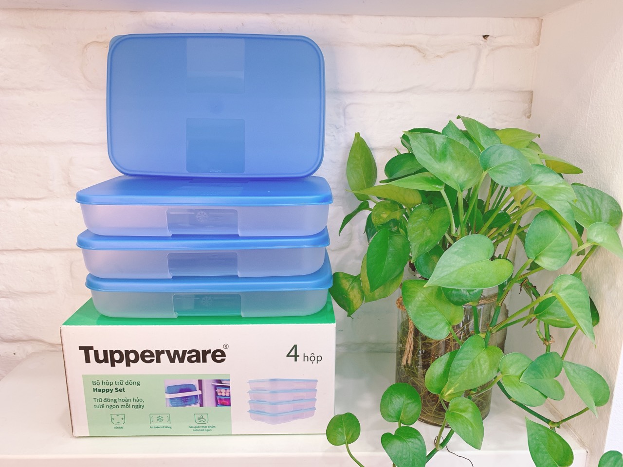 Bộ hộp trữ đông Happy Set 550ml Tupperware (650ml)