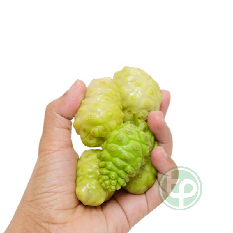 Bột nhàu hoà tan ( noni powder 노니 가루 ) Tấn Phát 500g cao cấp