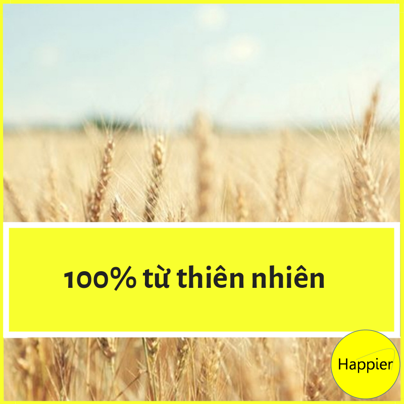 Ống Hút Rơm Lúa Mì Thân Thiện Môi Trường ( 100 Ống )