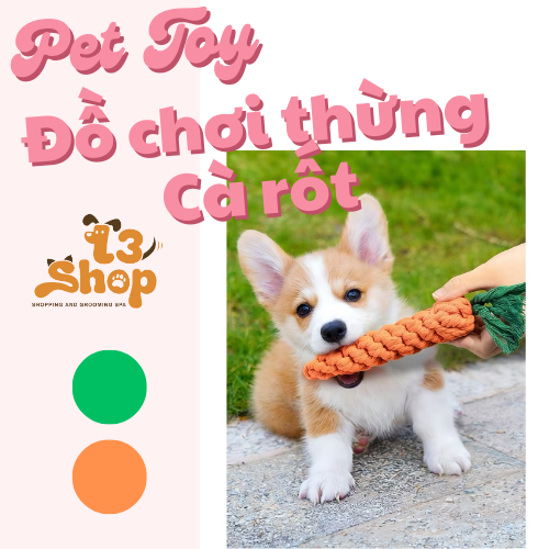 đồ chơi chó mèo - cà rốt thừng cho chó mèo - T3 PETS SHOP