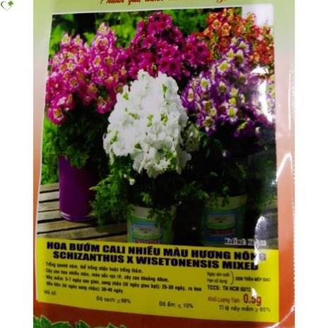 Kích rễ cao cấp Root 2 roots2 USA 100ml