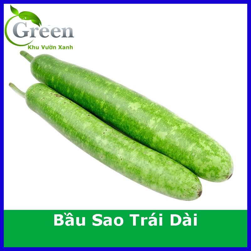 Hạt Giống Bầu Sao Lai Trái Dài