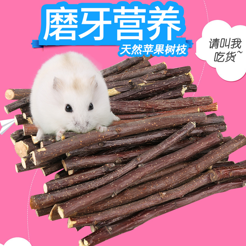 Cành táo mài răng cho Hamster
