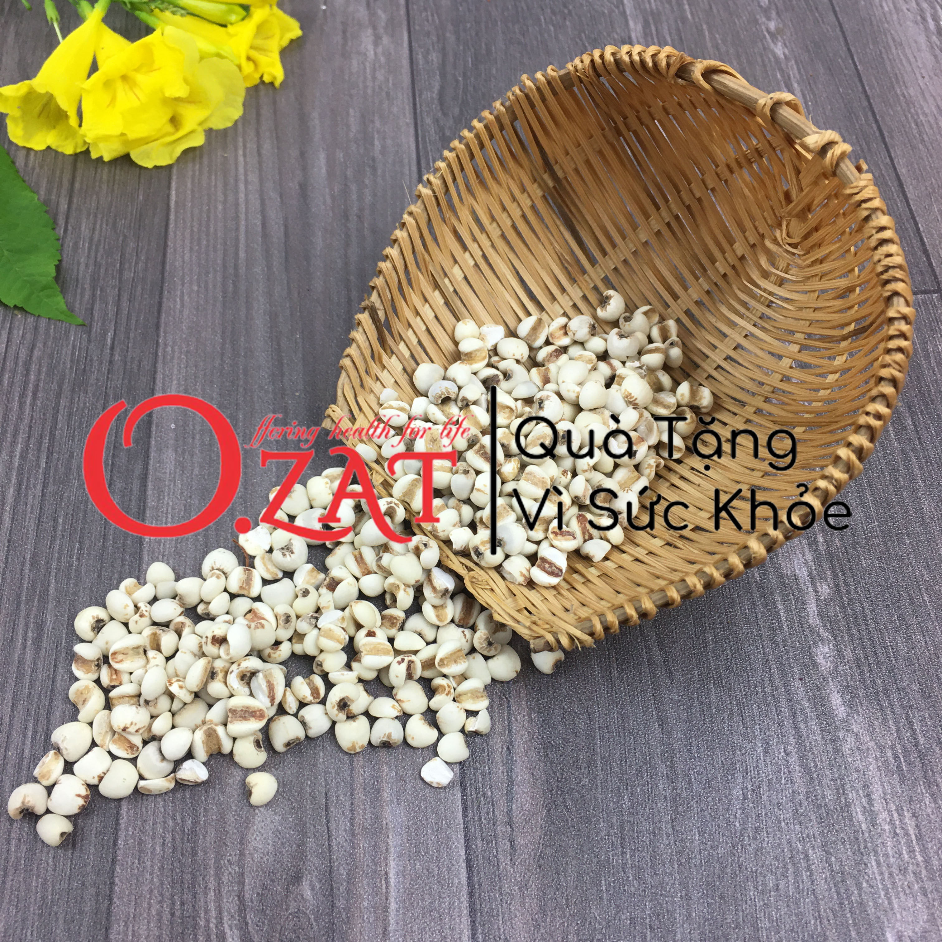 Hạt ý dĩ / bo bo khô O.ZAT 100g
