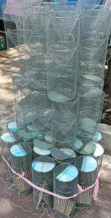[Lờ  Đặt Cá] lồng kẽm BẪY Ếch