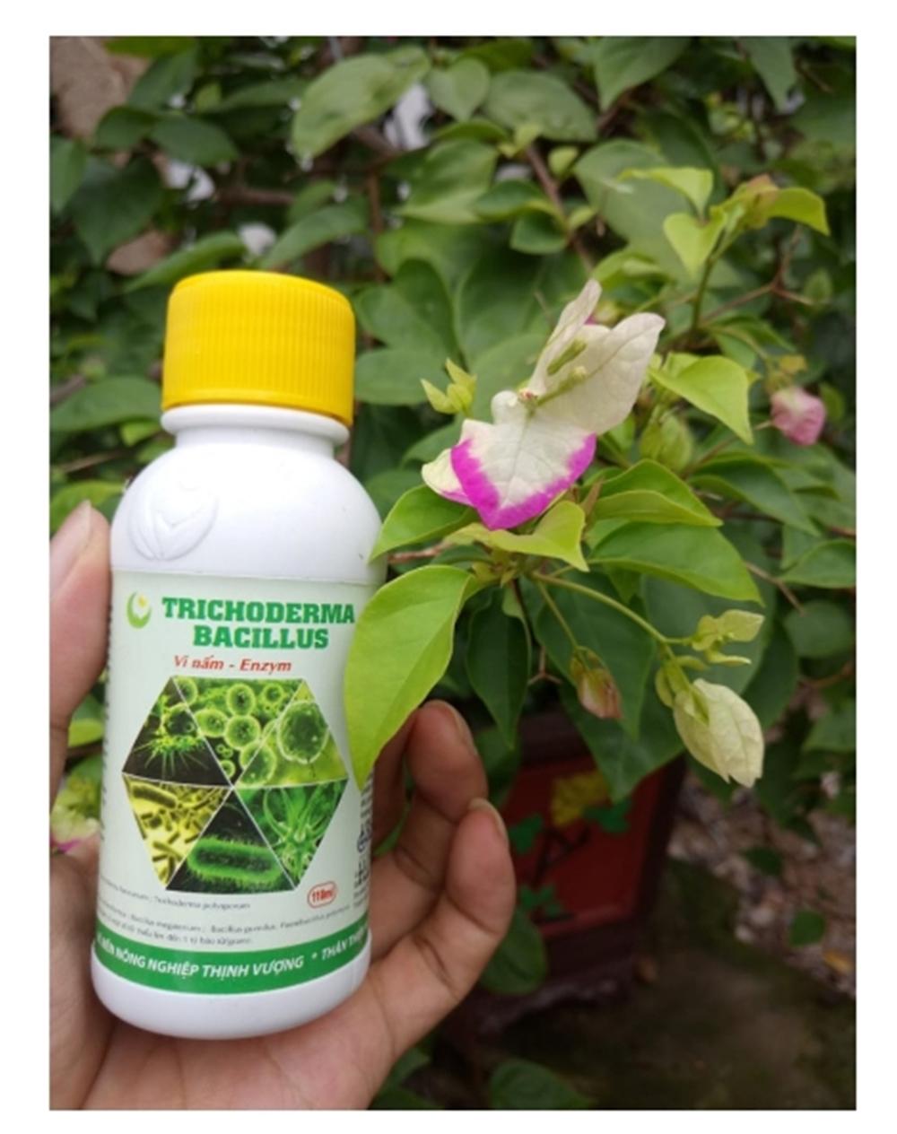 Nấm đối kháng Trichoderma- 110ml - Hàng chuẩn