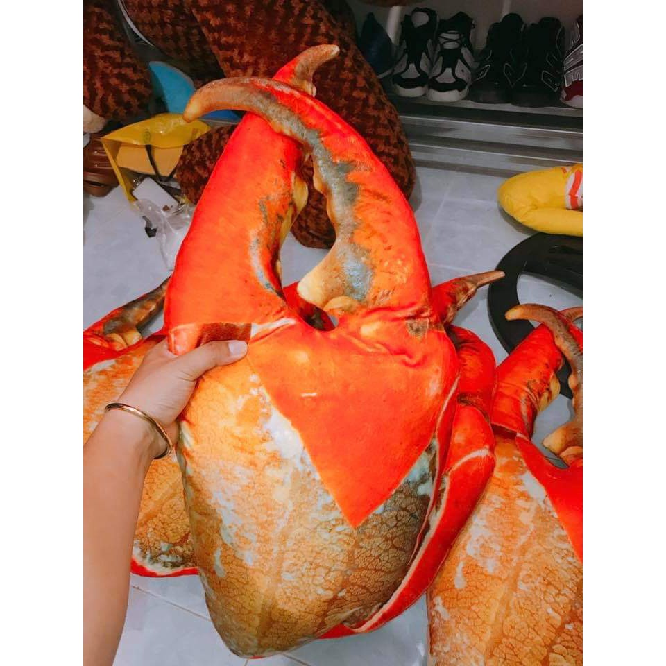 Gấu bông hình 3D