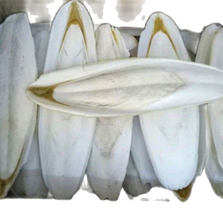 500g nan mực khô cho chim
