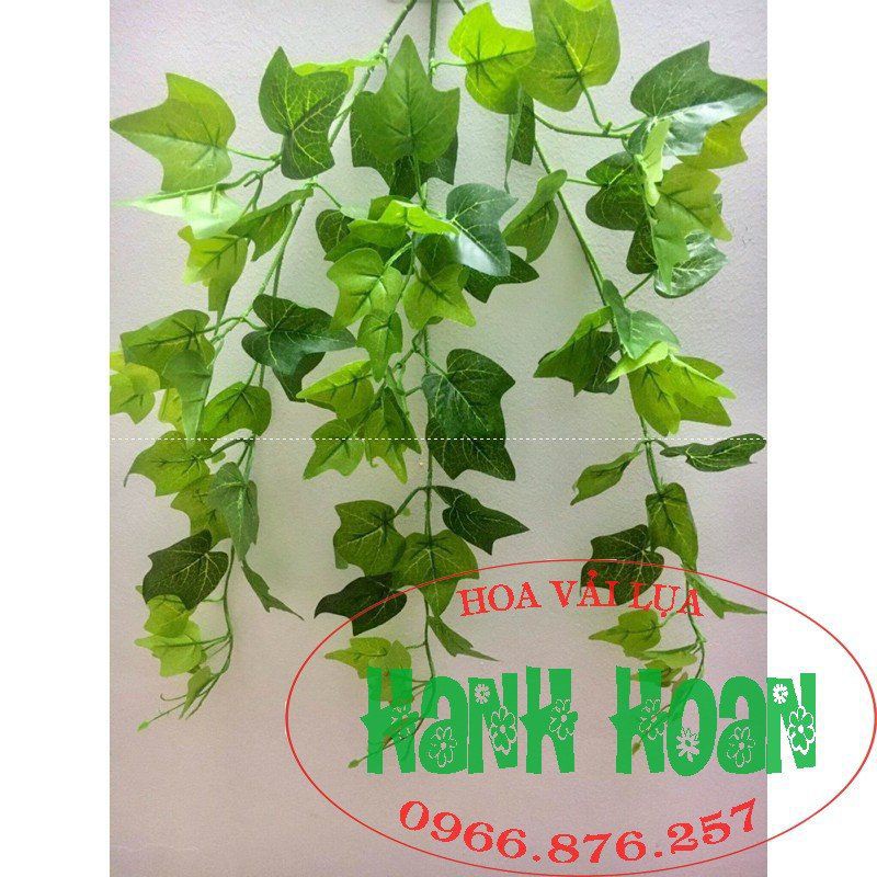 Bụi rủ lá 3 nhánh - cây cỏ giả