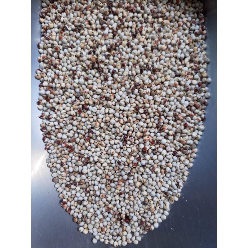 Hạt bo bo trắng 1kg - 1kg