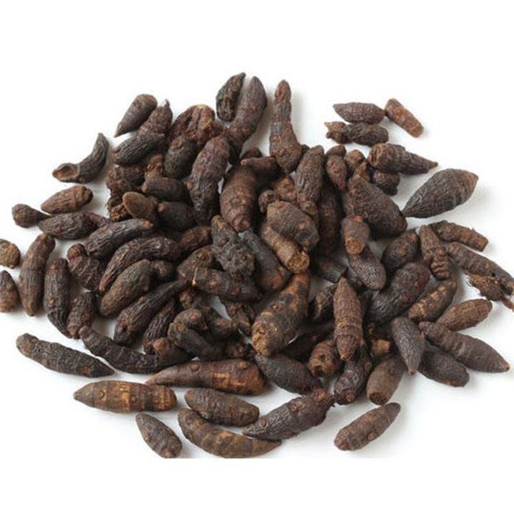 cây cỏ gấu khô 1kg