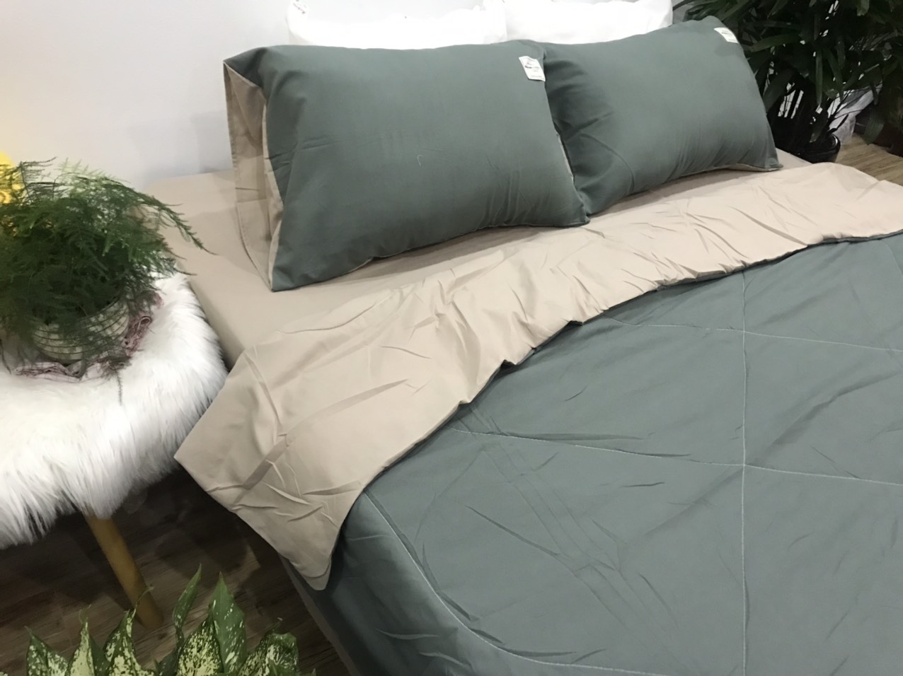 Bộ Chăn Ga Gối Cotton TiCi ( gồm 1 chăn hè đã chần bông, 1 ga và 2 vỏ gôi nằm )