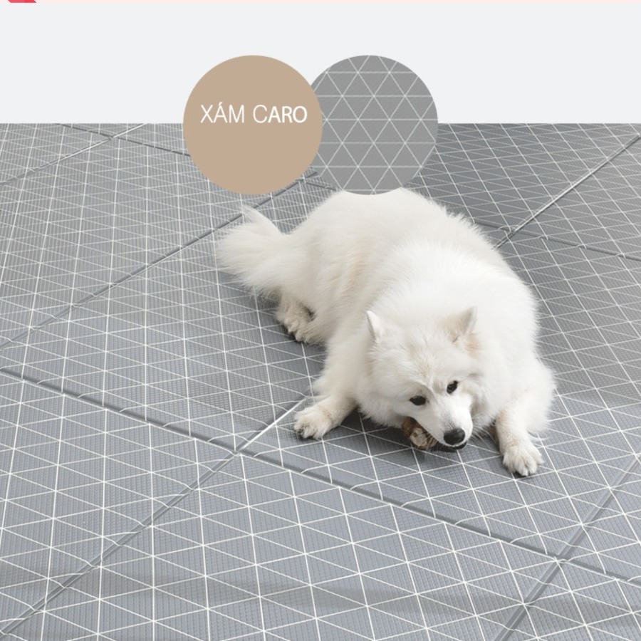 DFANG - Thảm nhảy chống trượt cho thú cưng (Chó mèo)