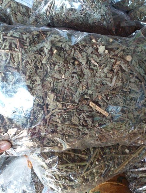 Cây An Xoa 1kg