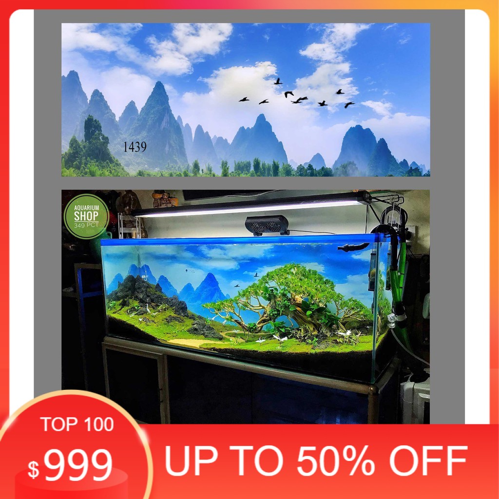 Tranh 3D dán bể cá cảnh hồ thuỷ sinh