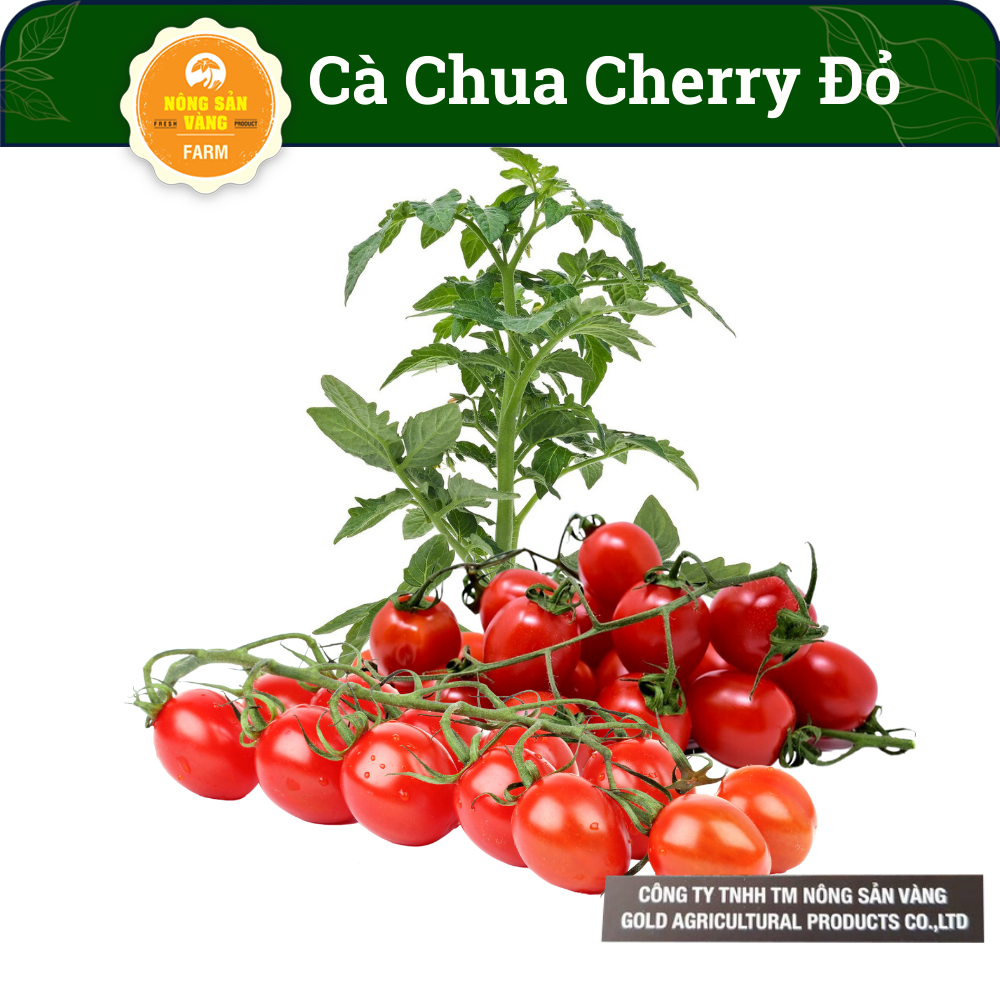 Red cherry tomato seed small round tomato seed red cherry seed shaped sweet meat (pack of 20 units) shallow yellow