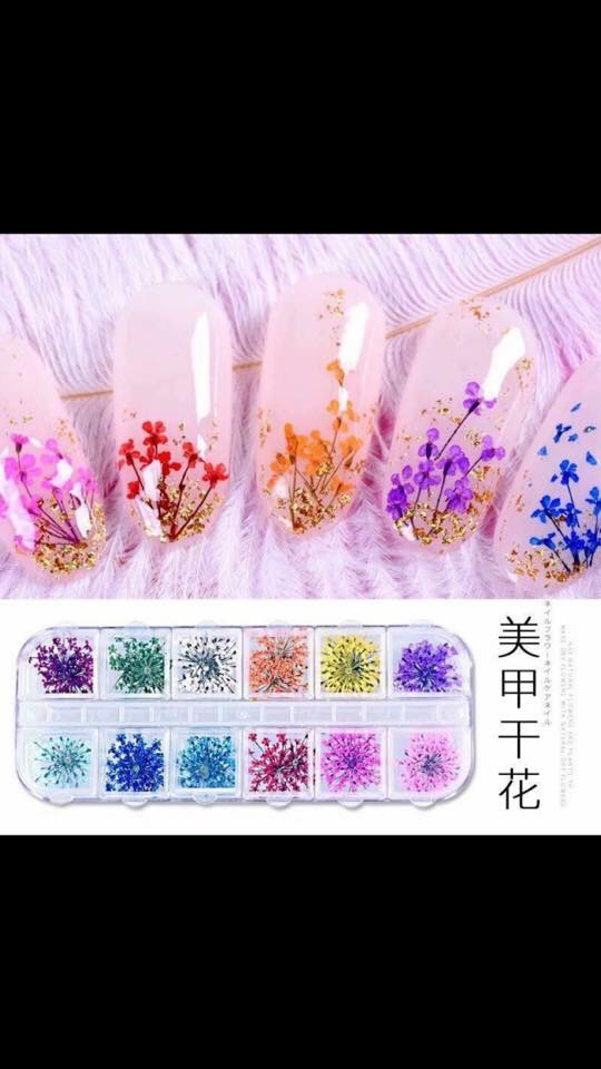 Hoa khô đắp bột,đắp gel ẩn Nail