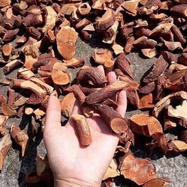 1kg rễ cây mú từn