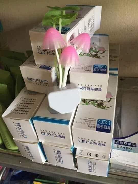 ĐÈN NGỦ CẢM BIẾN HÌNH CÂY NẤM