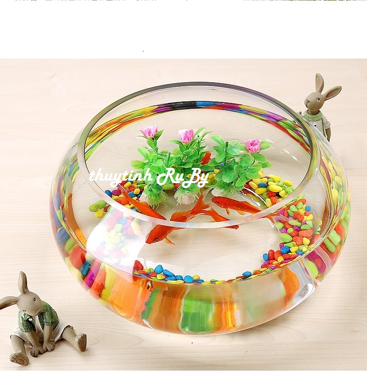 Bể Cá Thủy Tinh Để Bàn, Hồ Cá Thủy Tinh Mini T02 (D24Cm X 16Cm), Chậu Cây Thủy Sinh, Chậu Cây Cảnh