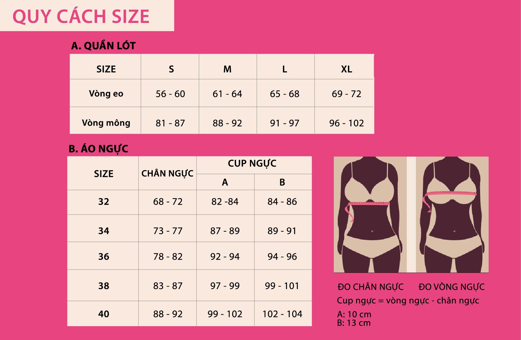 Combo 6 Quần Lót Modal Basic Kháng Khuẩn Tốt MILEY LINGERIE