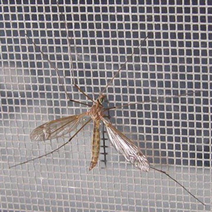 Lưới Chống côn trùng (200x150cm)_ Dùng cho cửa sổ