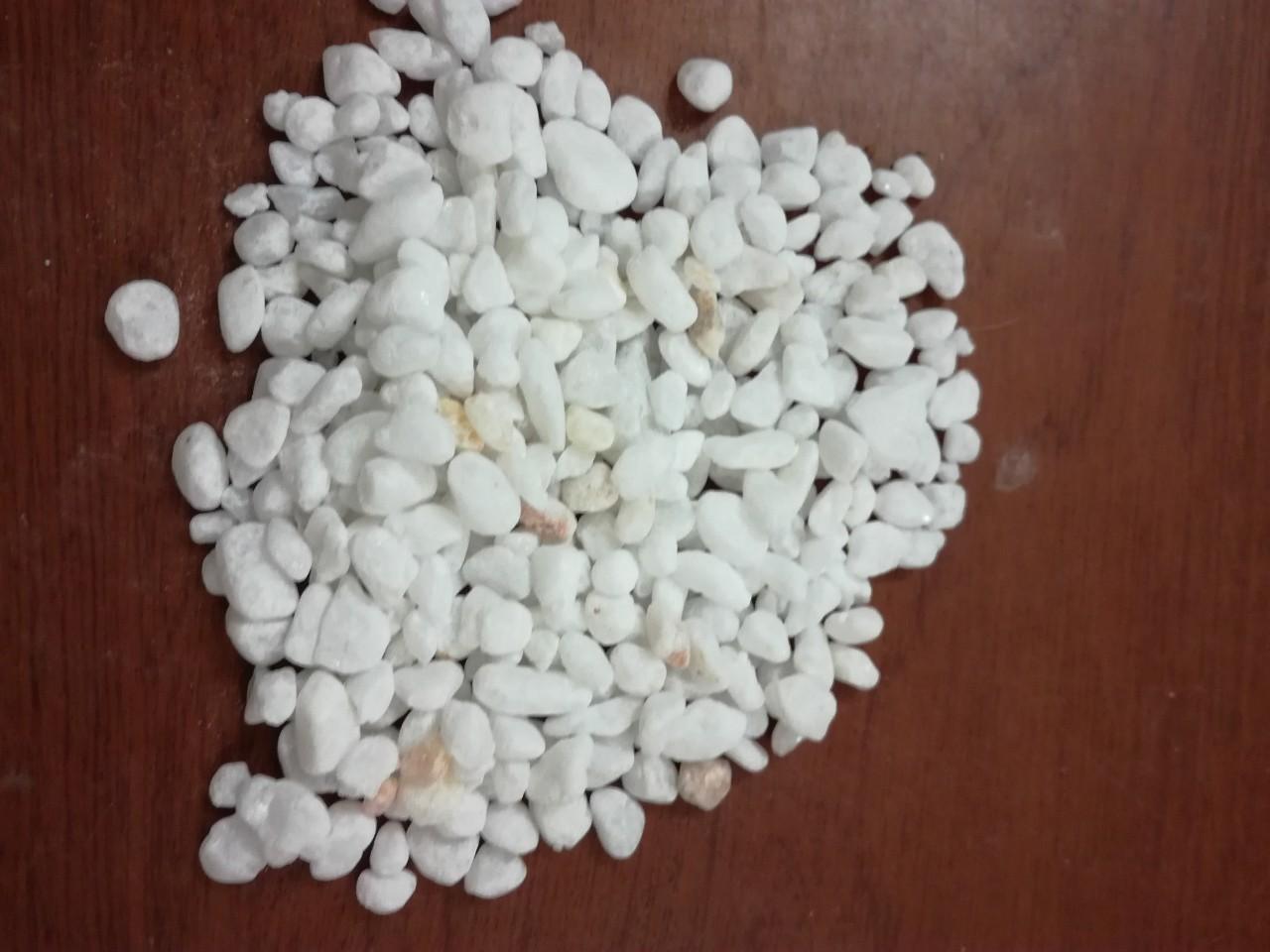 Combo 3 kg sỏi trắng viên vừa