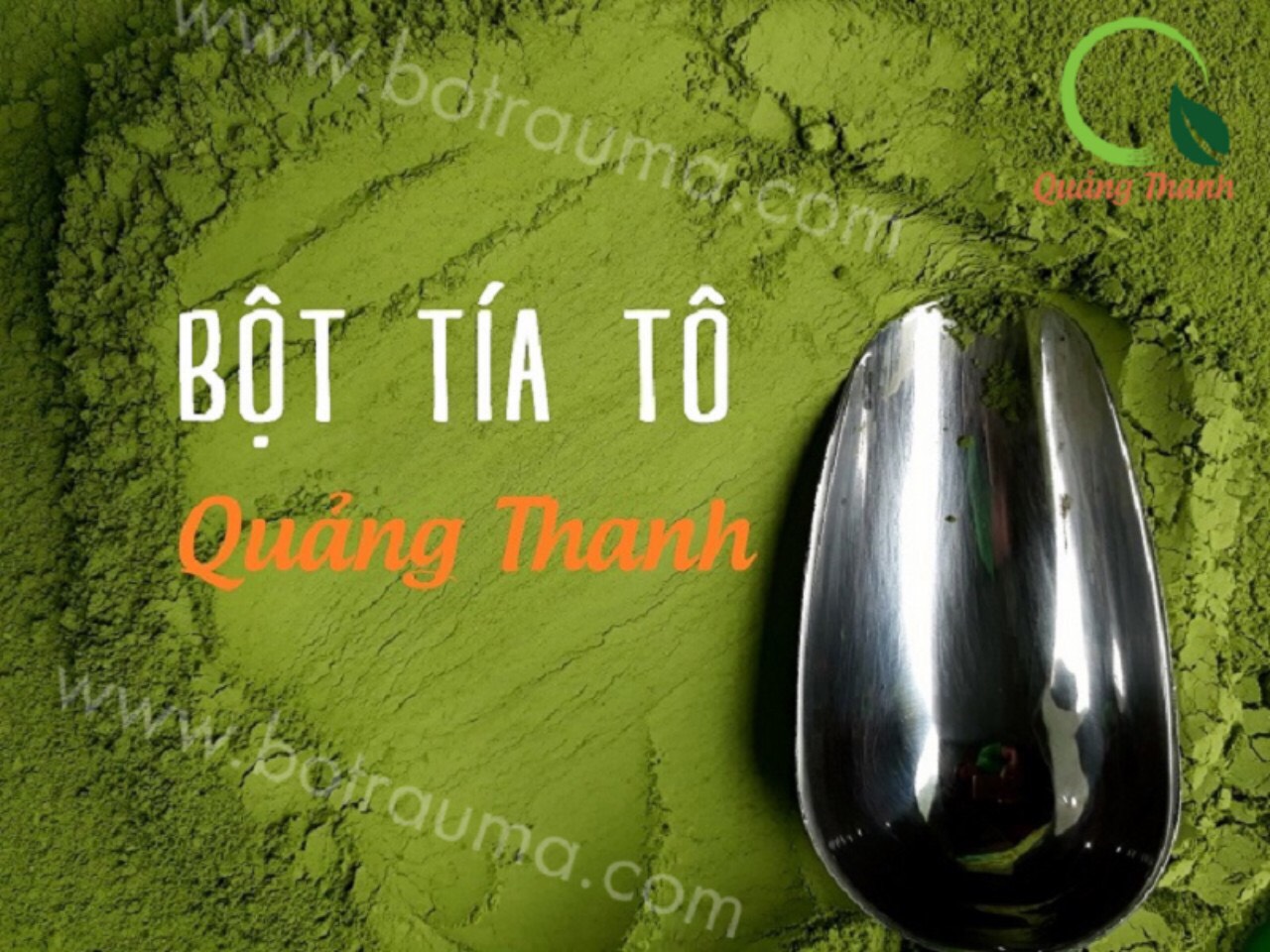 Bột tía tô sấy lạnh Quảng Thanh