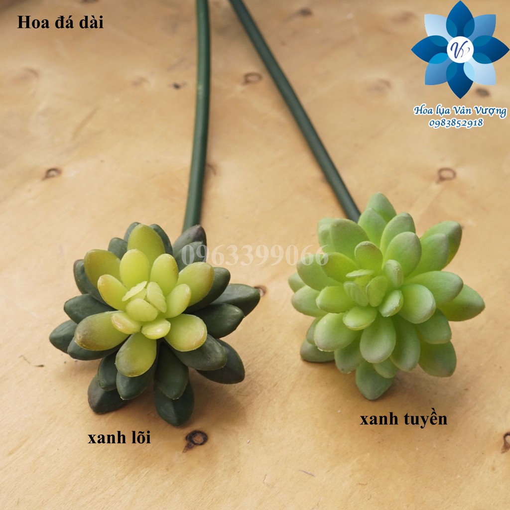 Hoa Đá Giả, Hoa Sen Đá Giả Cành Dài