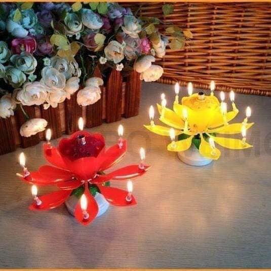 Nến sinh nhật nở hoa phát nhạc