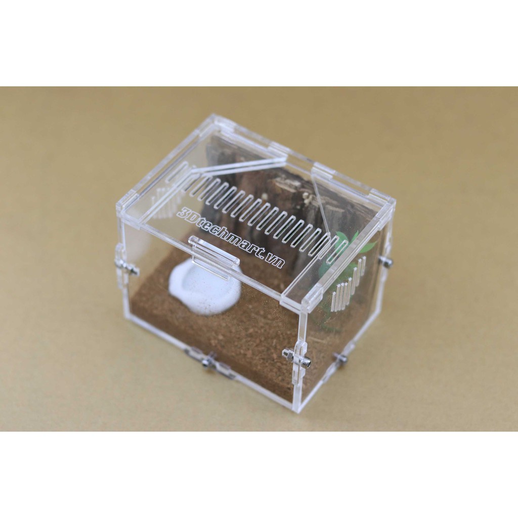 Hộp nuôi Nhện Sling, kích thước 10x8x8cm (tank sling)