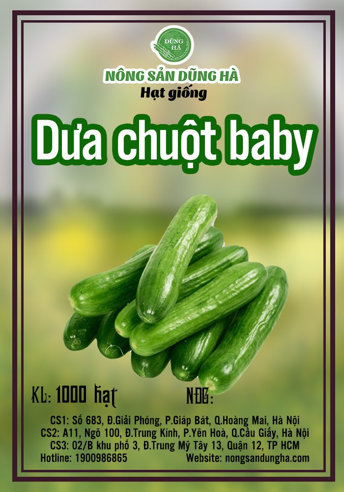 Hạt giống dưa leo baby gói 10 hạt