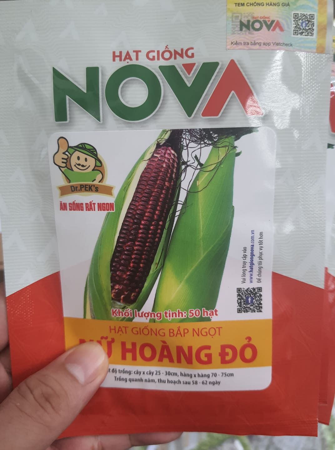 "Gói 50 Hạt " Hạt giống bắp nữ hoàng đỏ