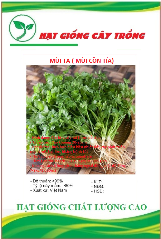 Hạt giống rau mùi cồn tía - Gói 20gram