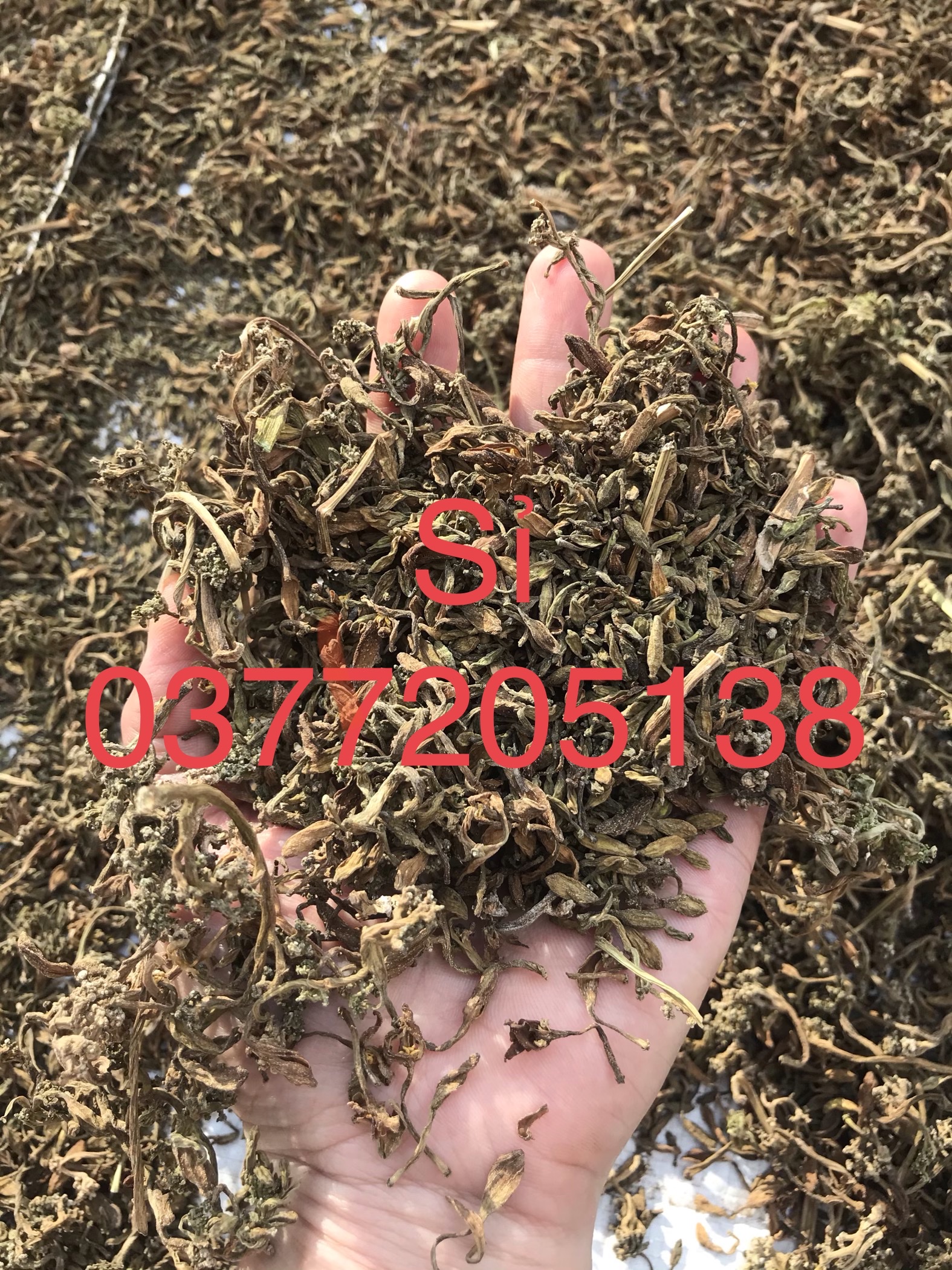 Hoa đu đủ khô (100g)