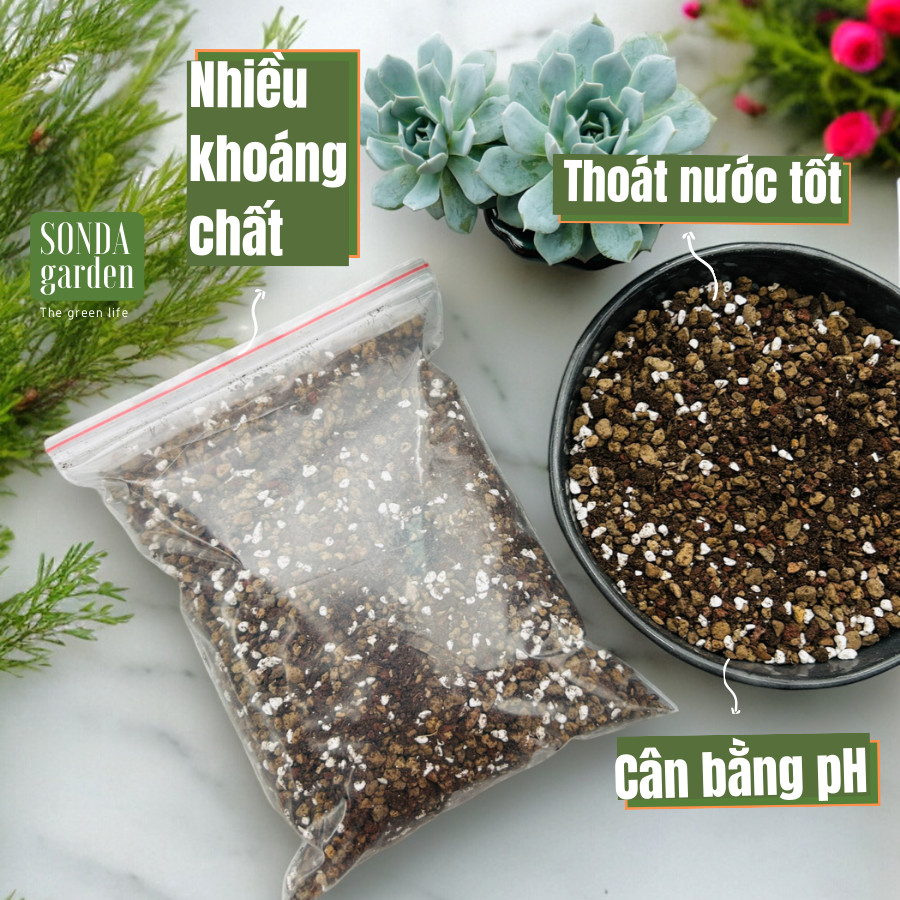 Đất trồng sen đá xương rồng (1kg)