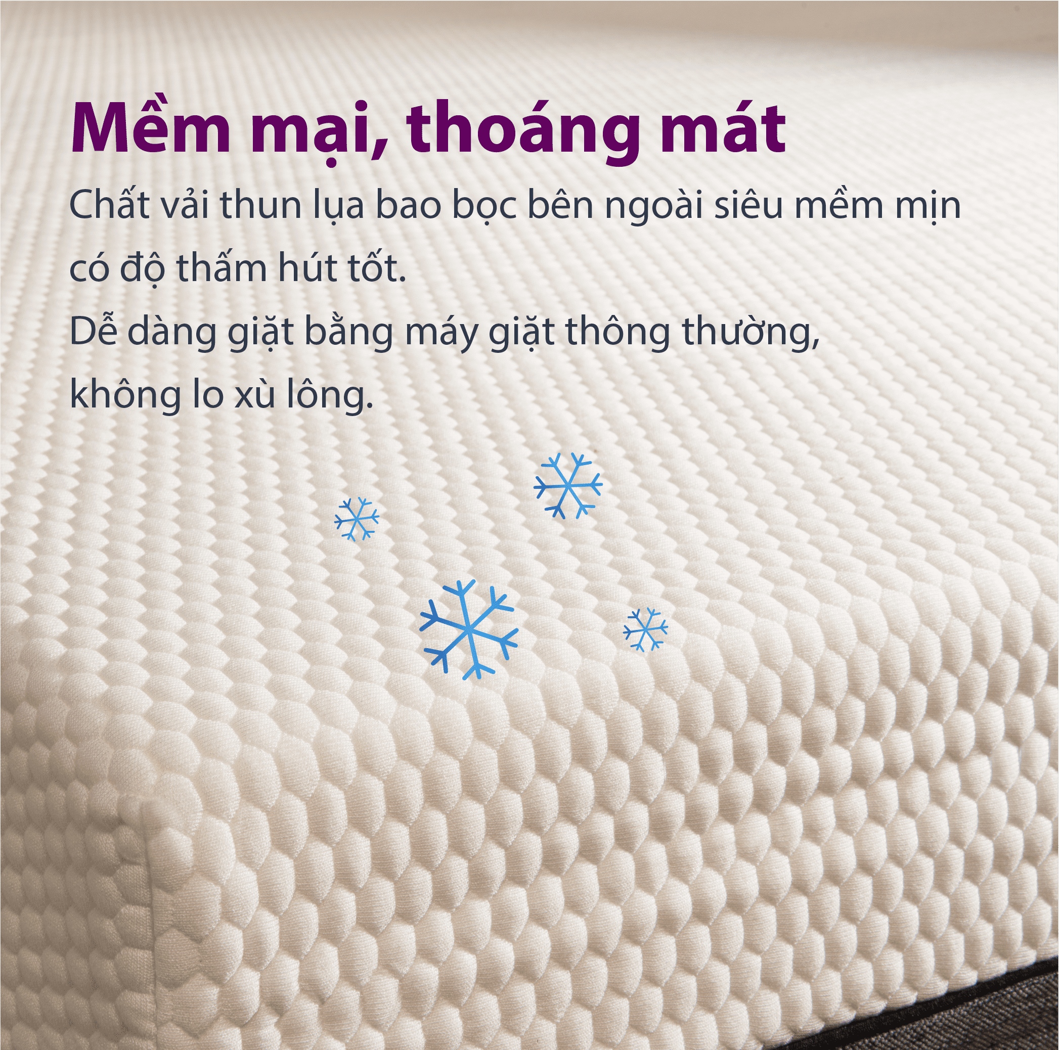 Nệm Cao su Memory Foam Cao Cấp Samick Hàn Quốc - Cosy