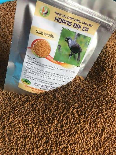 CÁM CHIM KHƯỚU - HOÀNG ĐẠI CA