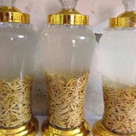 SÂU CHÍT NGÂN SẴN VỀ UỐNG (1.200.000/10lit bình nhựa)