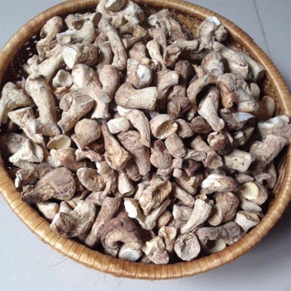 RUỐC NẤM NHÀ LÀM