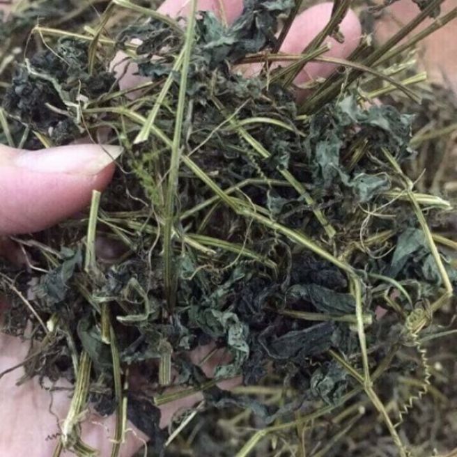 Sỉ toàn quốc 2kg trà giảo cổ lam