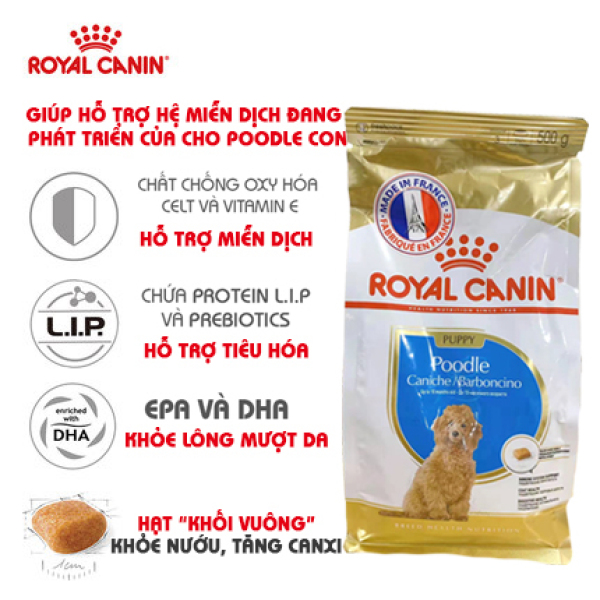Hạt Thức Ăn Khô Royal Canin Cho Chó Poodle Con – Royal Canin Poodle Puppy|Thức ăn vặt cho chó|Thức ăn hạt cho chó|Thức ăn cho thú cưng|Thức ăn vặt cho thú cưng|snack cho chó|thức ăn cho chó|đồ ăn chó|thức ăn cho chó con|thức ăn hạt cho chó trưở